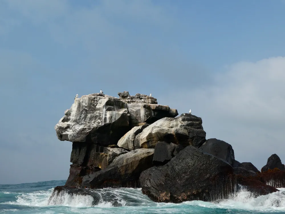 A photo Taken by Jacob Padilla. Location: Somewhere in the Ocean